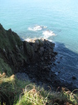 SX24805 Seals at bottom of cliffs.jpg